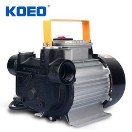 220V Fuel Dispensing Pump