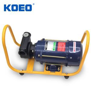 AC 220V 110V Gasoline Pump