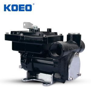 DC 12V Gasoline Pump