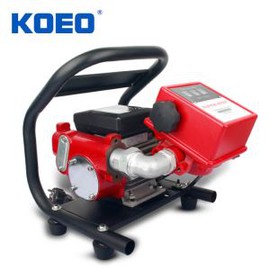 Mobile Diesel Fuel Pump Set