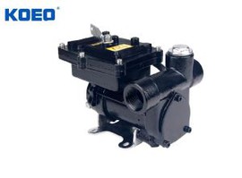 Ex-Proof Fuel Transfer Pump