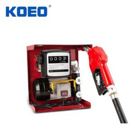 220V Diesel Fuel Pump Kit